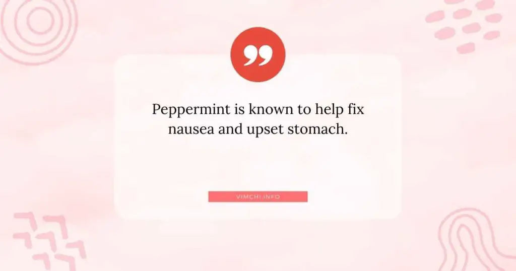 what are the natural remedies for an upset stomach -- peppermint