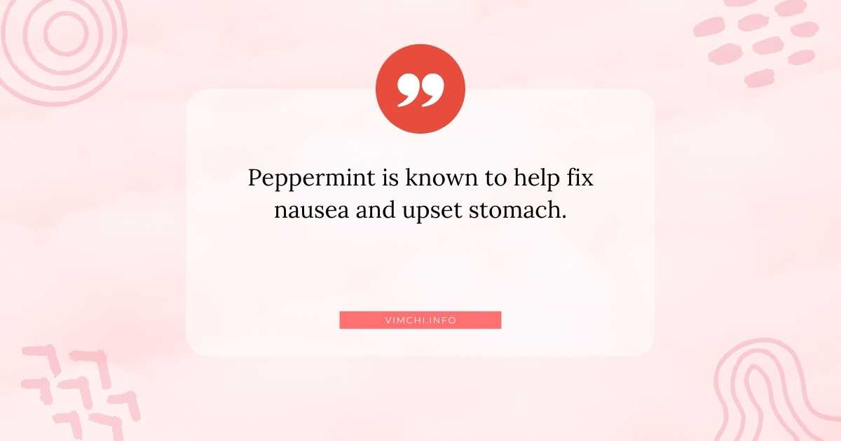 What Are The Natural Remedies For An Upset Stomach? Vim Ch'i