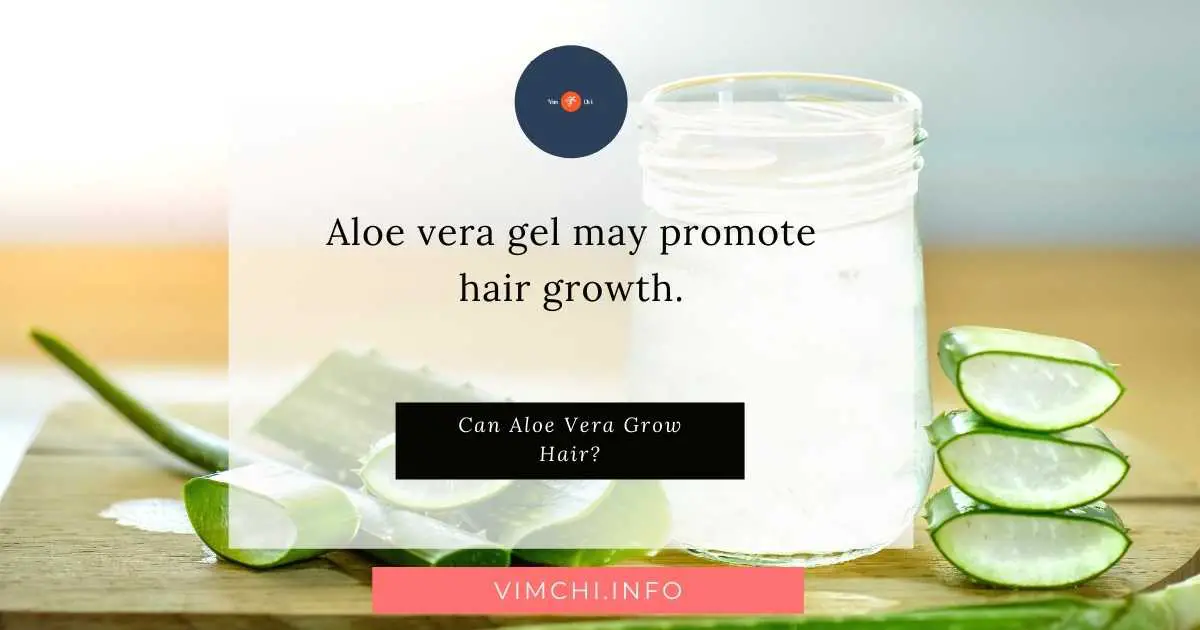 Can Aloe Vera Grow Hair