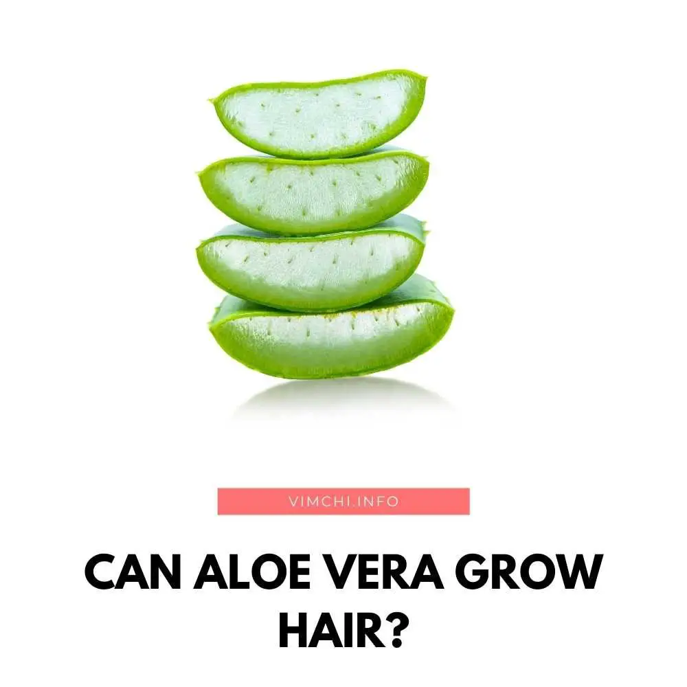 Can aloe vera grow hair, though? Is it the solution you’ve been seeking?