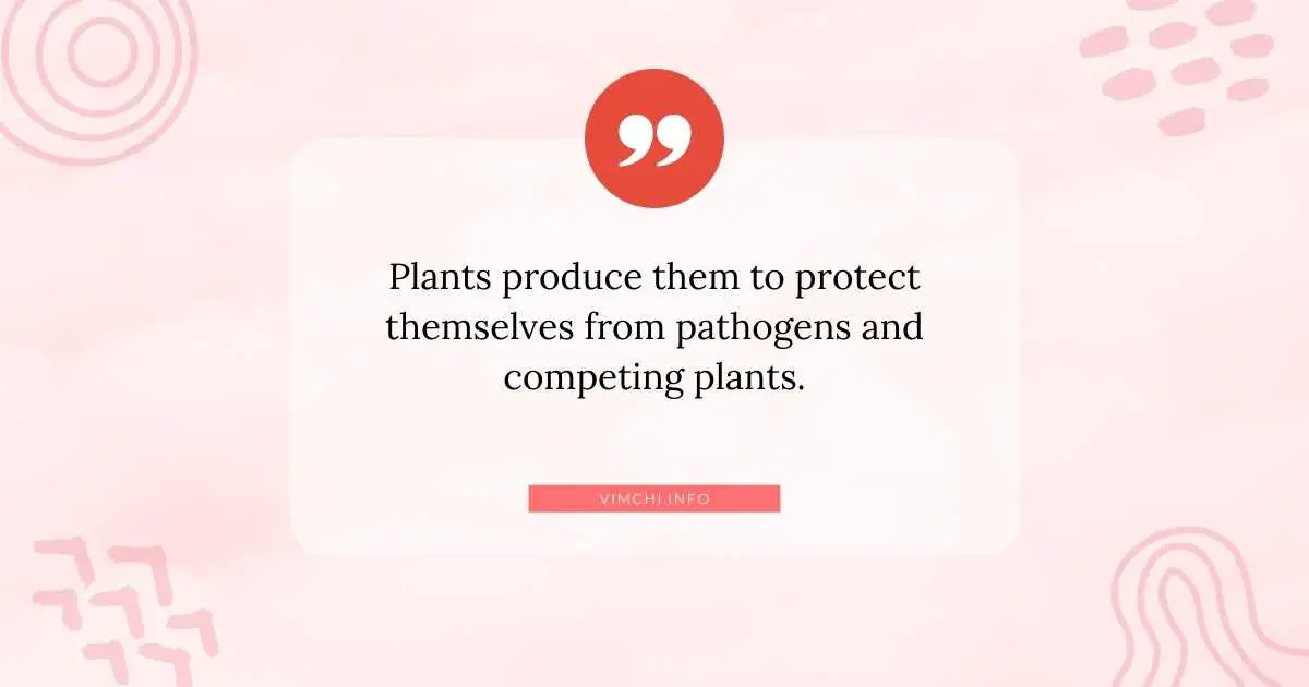 Can the Carnivore Diet Help Psoriasis -- plants
