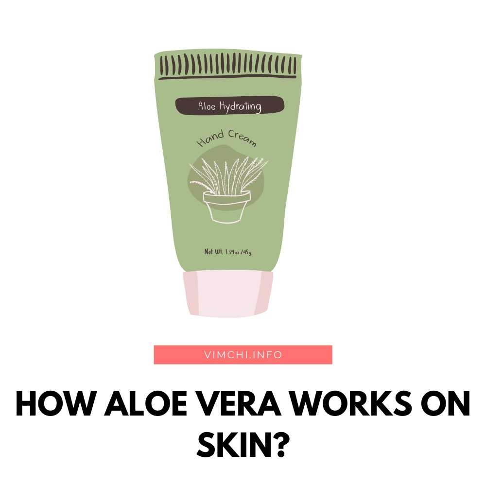 How Aloe Vera Works On Skin? Vim Ch'i