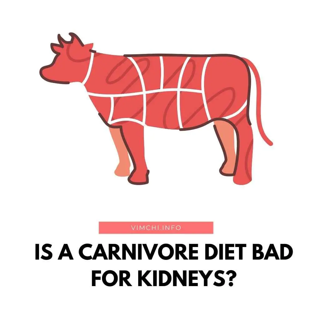 Is a Carnivore Diet Bad for Kidneys featured