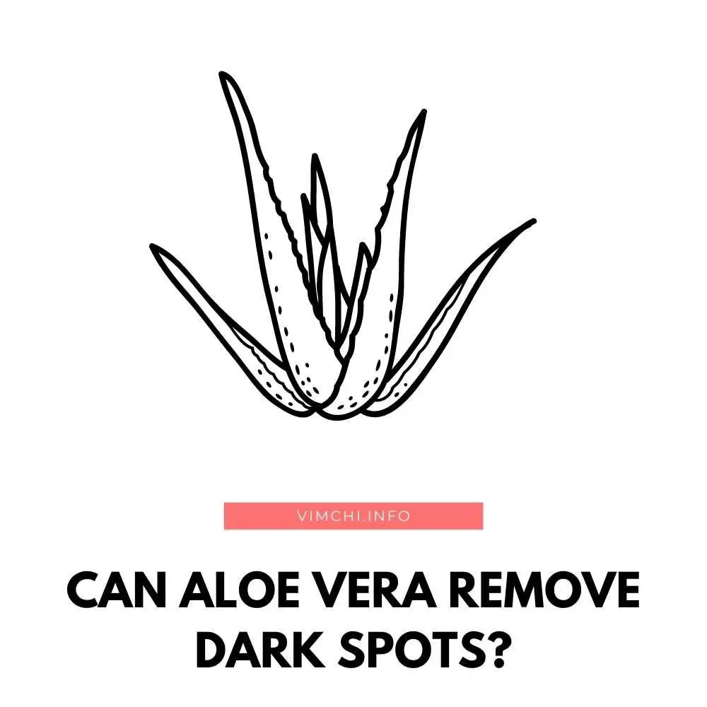 Can aloe vera remove dark spots? How does it work? Can you leave it to your face overnight? Let’s find the answers here.