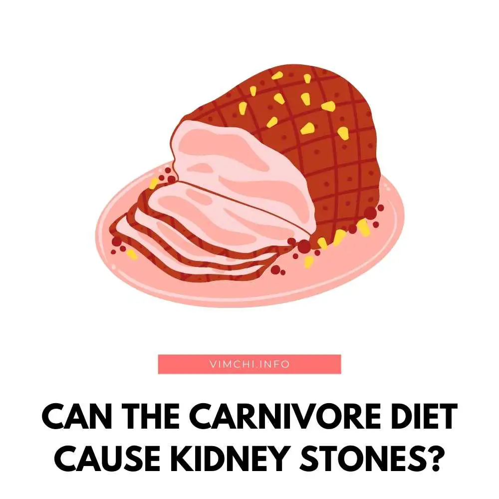 Can The Carnivore Diet Cause Kidney Stones? - Vim Ch’i