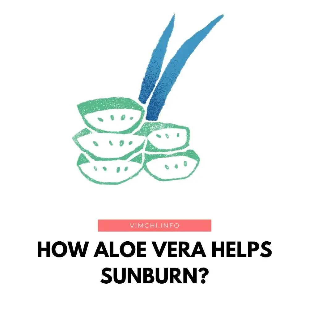 How Aloe Vera Helps Sunburn? Vim Ch'i