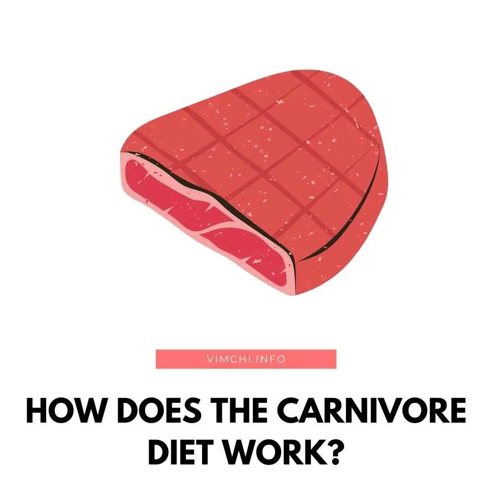 How Does the Carnivore Diet Work featured