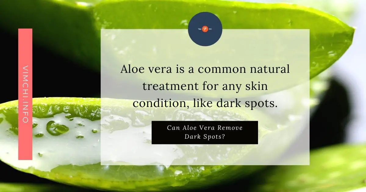 can aloe vera remove dark spots