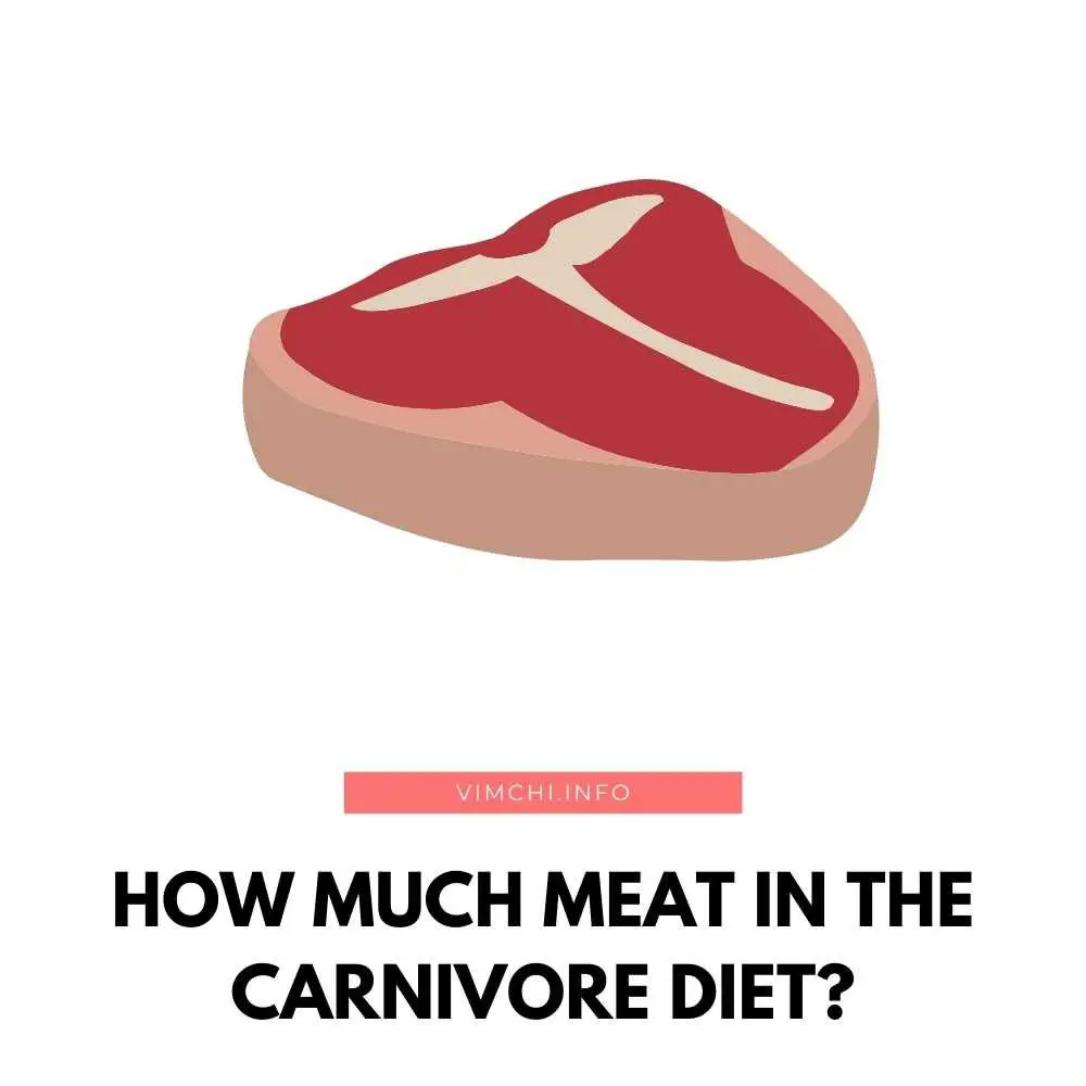 How Much Meat in the Carnivore Diet featured