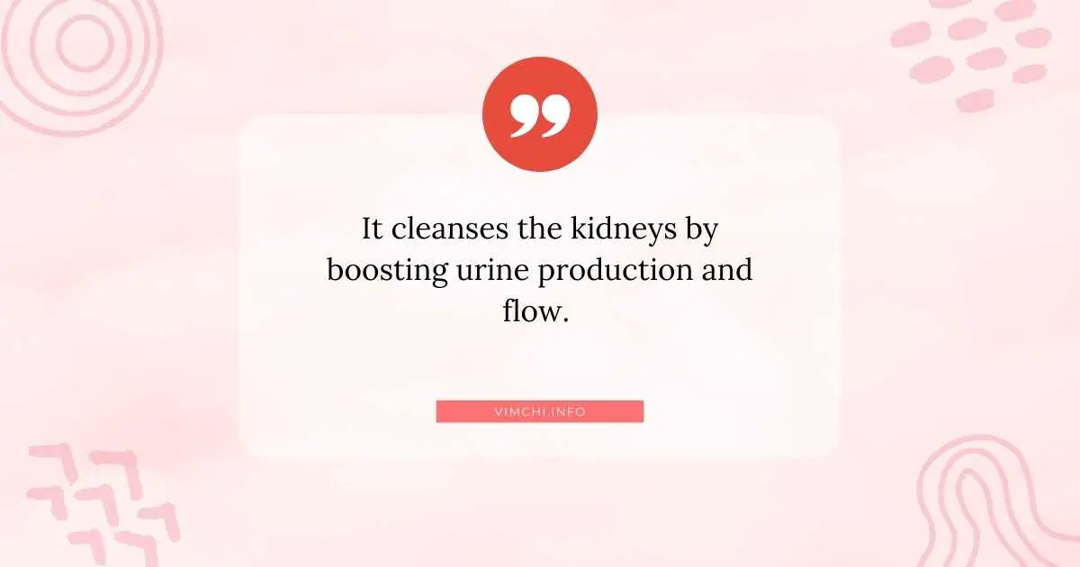 herbal teas for kidneys -- cleanses the kidneys