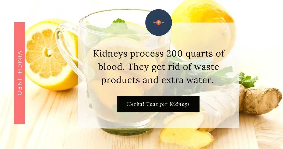  herbal teas for kidneys