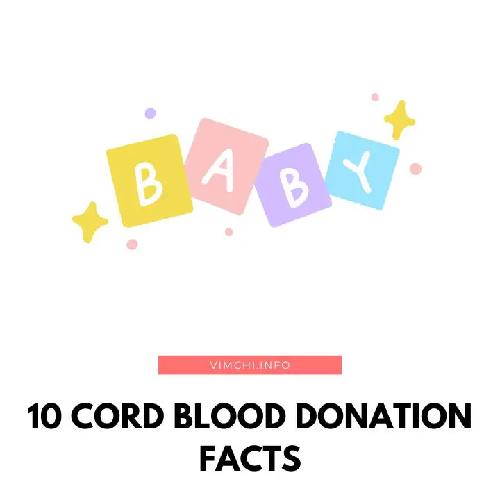 Cord Blood Donation Facts featured