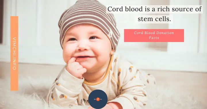 cord blood donation facts