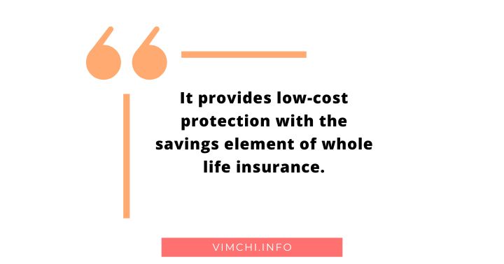 life insurance policies -- low-cost protection