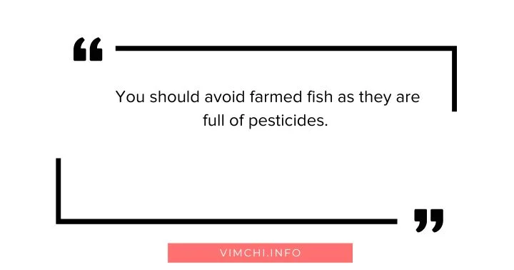 farmed fish