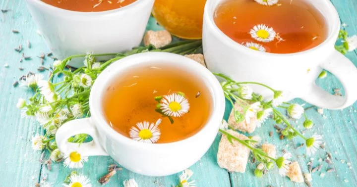 herbal teas for cramps