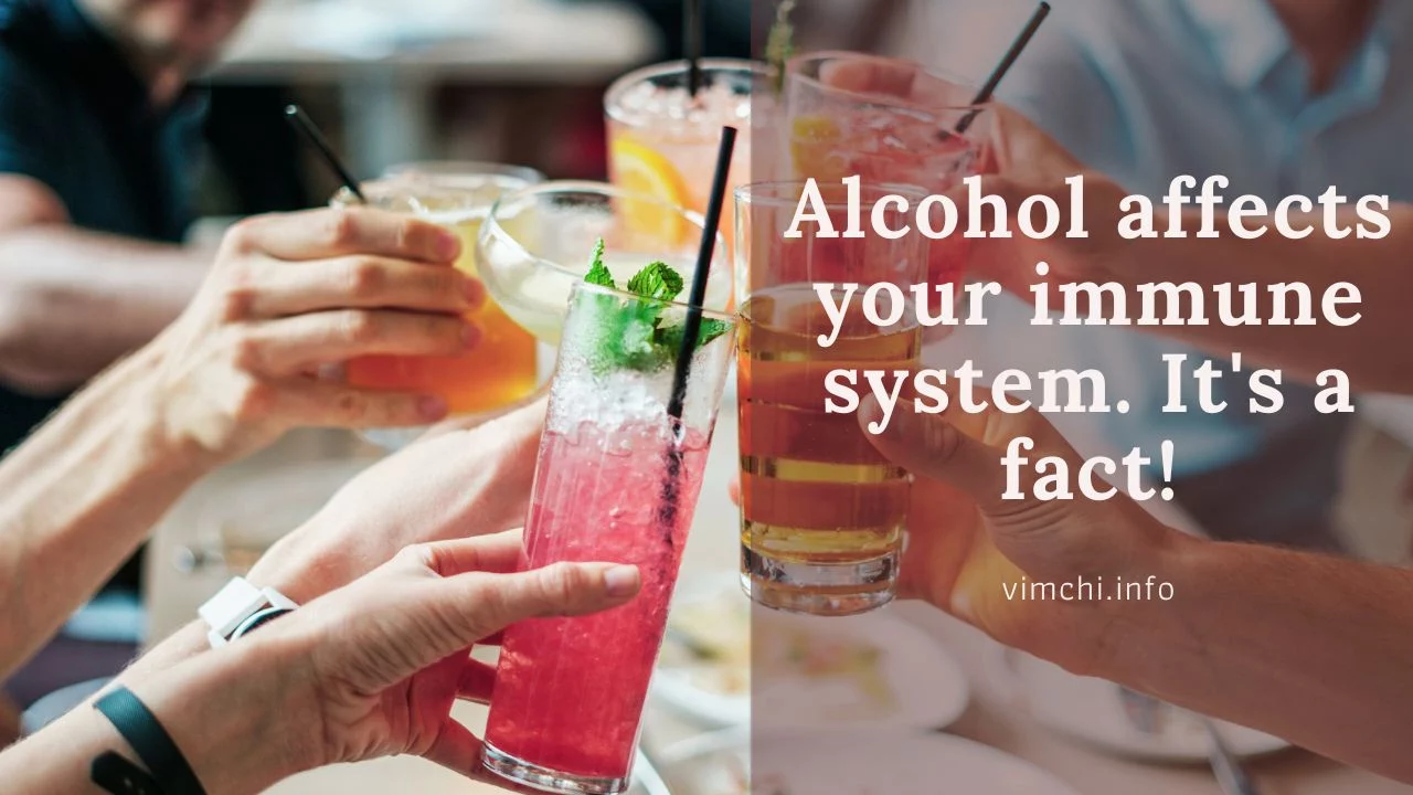 how long for the immune system to recover from alcohol bloc