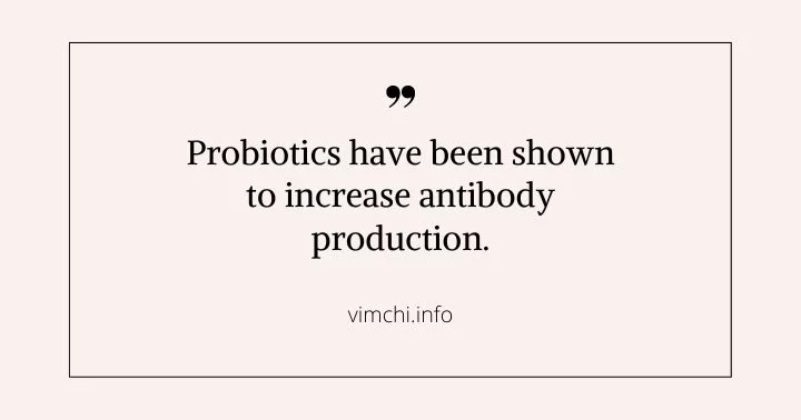 probiotic-packed protein shakes to increase antibody production