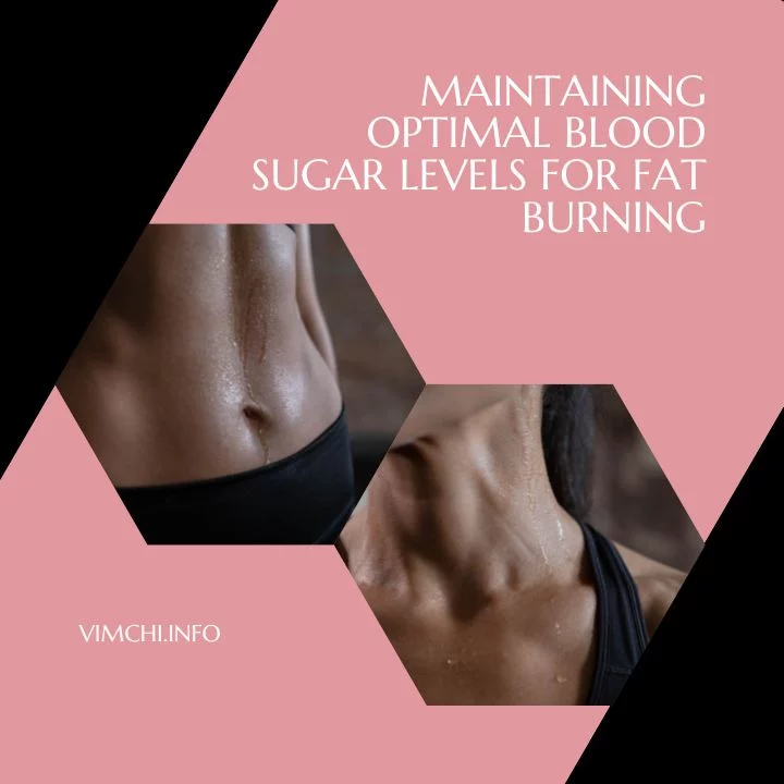 maintain optimal blood sugar levels for fat burning featured