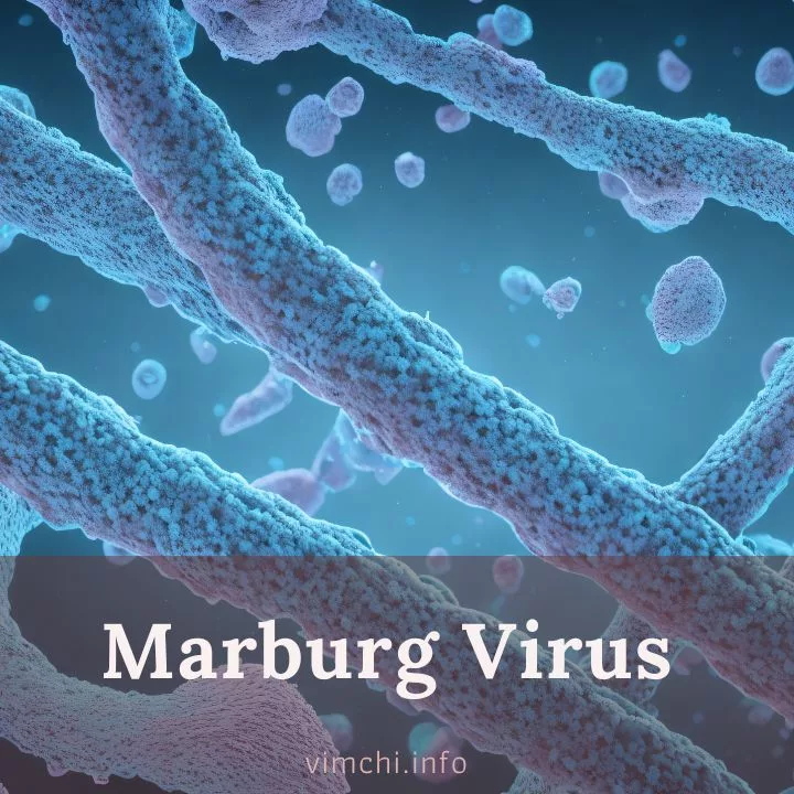 Marburg Virus featured