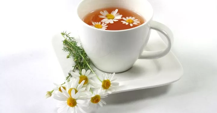 natural remedies for insomnia -- chamomile tea