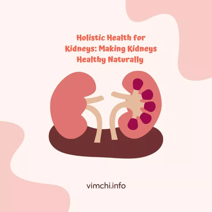 Holistic Health for Kidneys Making Kidneys Healthy Naturally