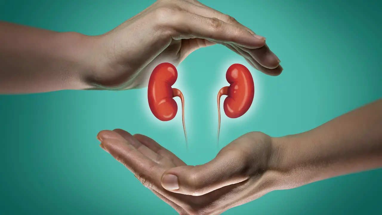 holistic health for kidneys