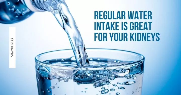 regular water intake