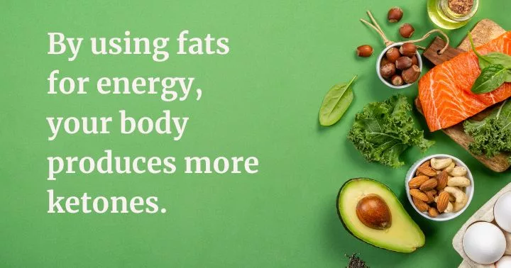 is fasting for weight loss healthy -- use stored body fats
