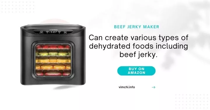 beef jerky maker