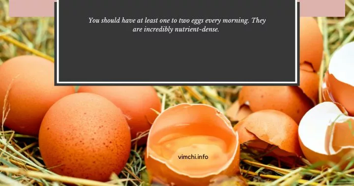 eggs on carnivore diet