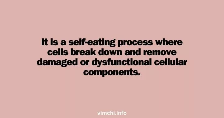 autophagy OMAD