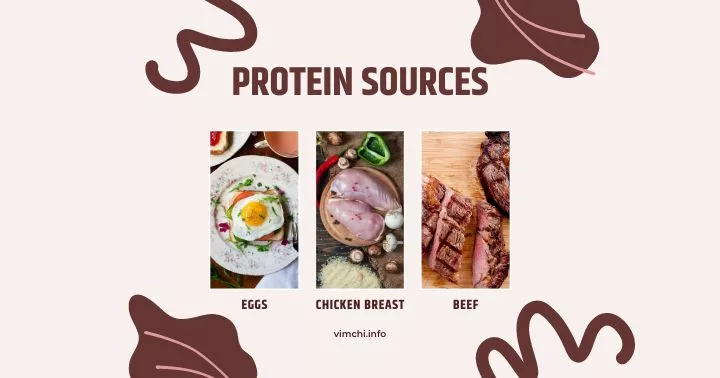 carnivore diet for diabetes -- protein sources