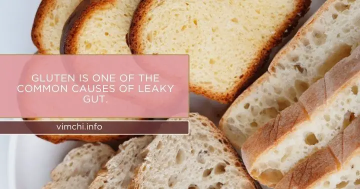 probiotics for leaky gut - gluten