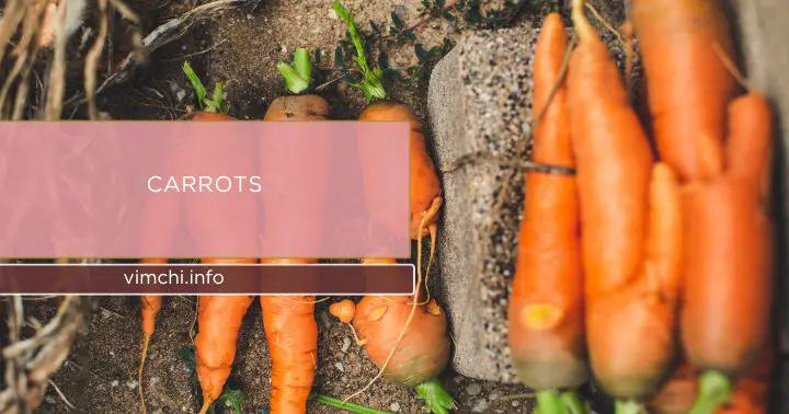 Budget-Friendly Organic Food carrots