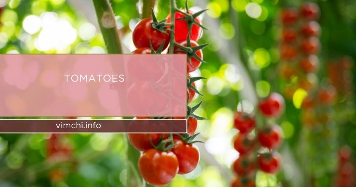 Budget-Friendly Organic Food - tomatoes