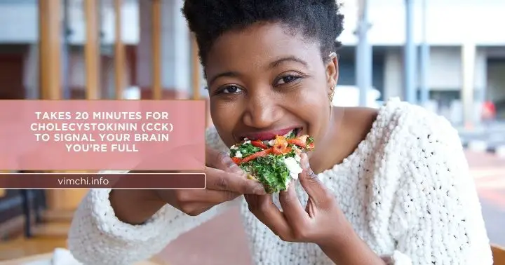 mindful eating guide_ daily exercise